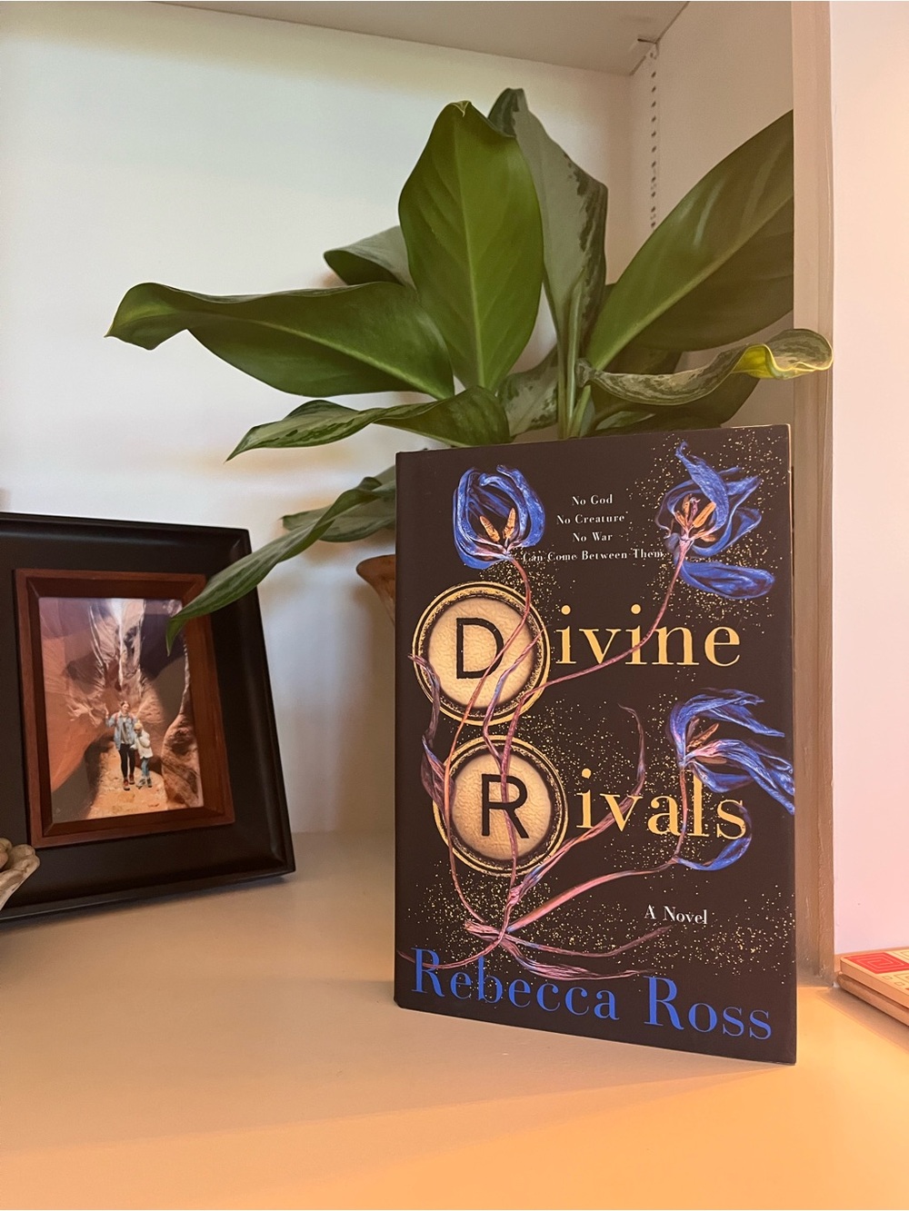 Divine Rivals Decorative Hardcover Book - Black & Blue